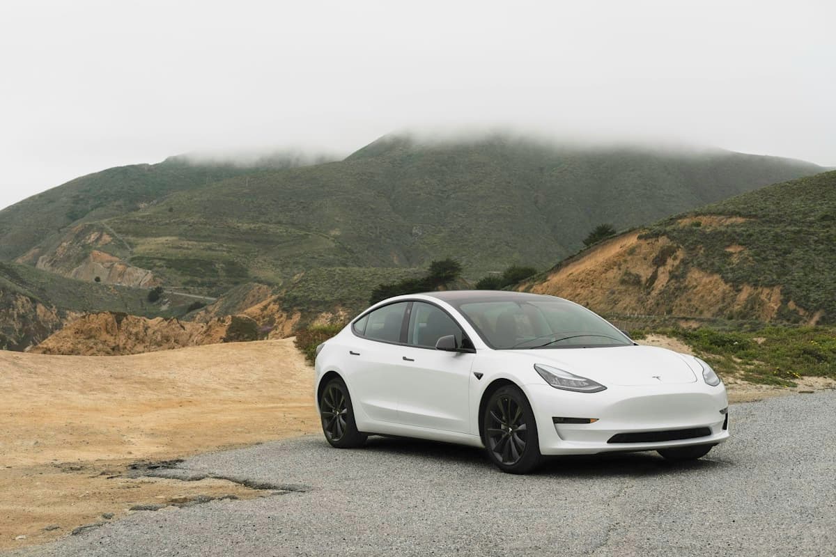 Electric (EV) rental car